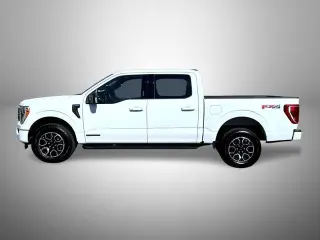 Ford F-150 2023 4x4 XLT 4dr SuperCrew 5.5 ft. SB