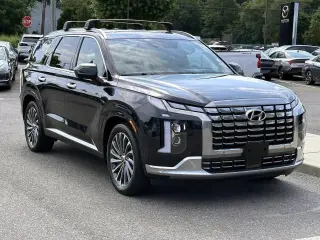 Hyundai PALISADE 2024 AWD Calligraphy 4dr SUV