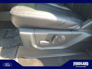 Ford Expedition 2021 4x4 Limited 4dr SUV