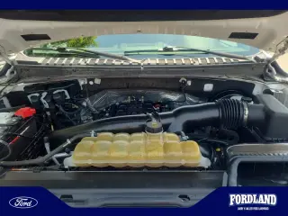 Ford Expedition 2021 4x4 Limited 4dr SUV