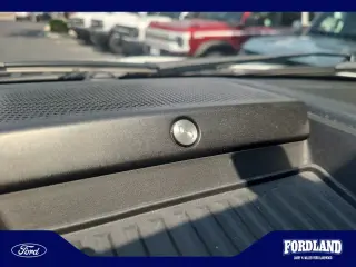Ford Expedition 2021 4x4 Limited 4dr SUV