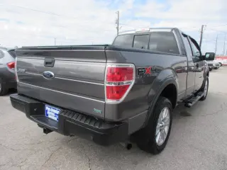 2010 Ford F-150