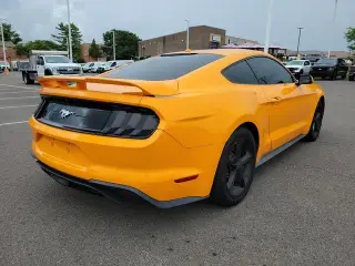 Ford Mustang 2019 EcoBoost 2dr Fastback