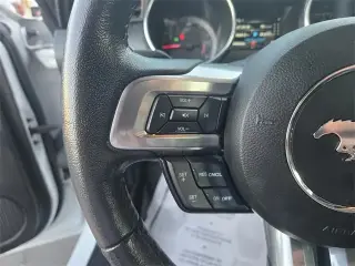 Ford Mustang 2023 EcoBoost 2dr Fastback