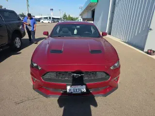 Ford Mustang 2019 EcoBoost 2dr Fastback