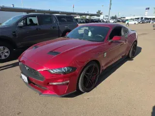 Ford Mustang 2019 EcoBoost 2dr Fastback