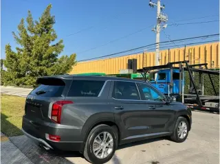 Hyundai Palisade ( CASH )