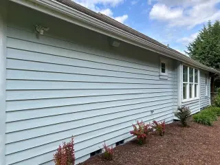 Painting Services