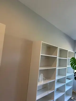Painting Services
