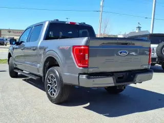 Ford F-150 2023 4x4 XL 4dr SuperCrew 5.5 ft. SB