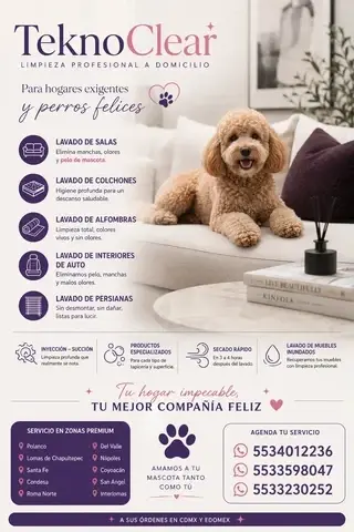 Lavado de salas y colchones