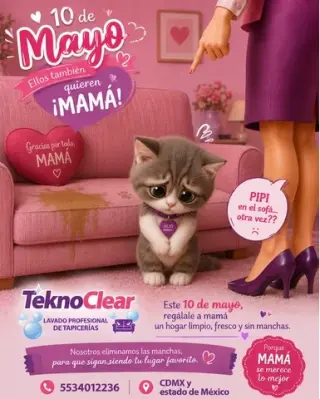 Lavado de salas y colchones