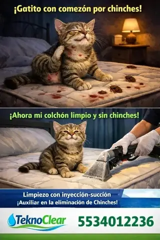 Lavado de salas y colchones