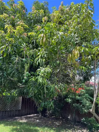 Propiedad en alquiler con 3 habitaciones y 2.5 baños en Miami