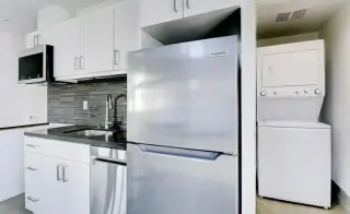 beautifully renovated pet home
