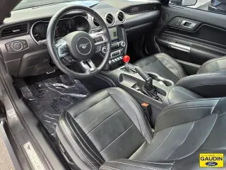 Ford Mustang 2020 EcoBoost Premium 2dr Fastback