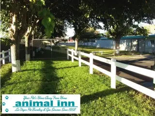 Personal para hotel de mascota