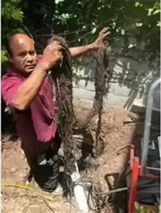 RUNNING PLIMBING 714-515-7547
