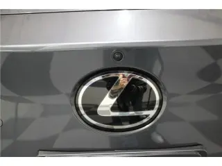 2024 Lexus RZ
