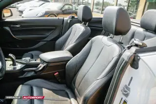 2017 BMW 2 SERIES
