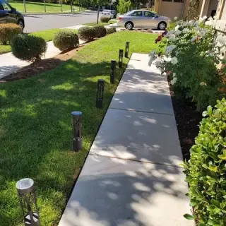 🌿 Landscaping 24/7 Hoy!
