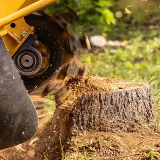 🌿 Landscaping 24/7 Hoy!