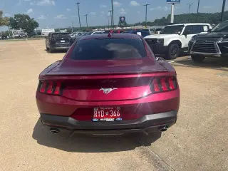 Ford Mustang 2025 EcoBoost 2dr Fastback