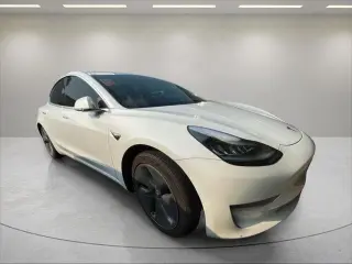 Tesla Model 3 2020 AWD Standard Range 4dr Fastback