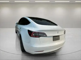 Tesla Model 3 2020 AWD Standard Range 4dr Fastback