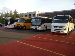 Transportes Escolares Alvarado
