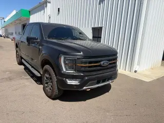 Ford F-150 2023 4x4 Tremor 4dr SuperCrew 5.5 ft. SB