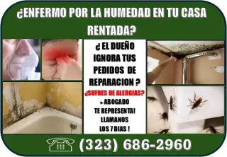 🔥DUEÑO NO HACE REPARACIONES ?