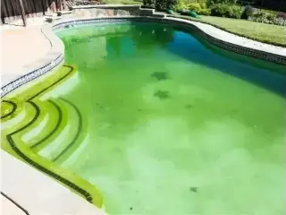 ¡LIMPIEZA DE ALBERCAS!