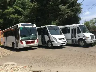 Transporte escolar