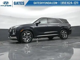 Hyundai PALISADE 2022 Calligraphy 4p SUV