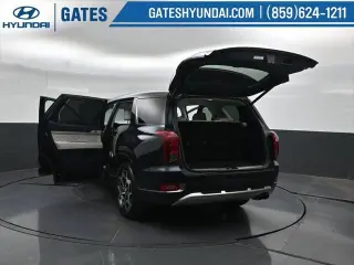Hyundai PALISADE 2022 Calligraphy 4p SUV