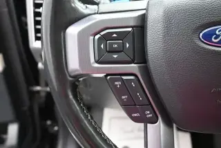Ford Expedition 2020 4x4 Platinum 4p SUV