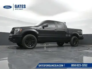 Ford F-150 2014 4x4 STX 4p SuperCrew Styleside 5.5 pies CB