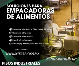 Loseta antiácida empacadoras