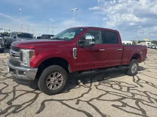 Ford F-250 Super Duty 2019 4x4 XLT 4dr Crew Cab 6.8 ft. SB Camioneta