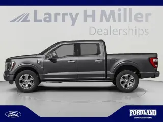 Ford F-150 2021 4x4 Platinum 4dr SuperCrew 6.5 ft. SB