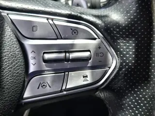 Hyundai SANTA FE 2022 Calligraphy 4dr Crossover