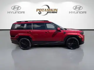 Hyundai SANTA FE 2024 Calligraphy 4dr SUV