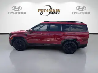Hyundai SANTA FE 2024 Calligraphy 4dr SUV