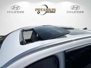 Hyundai PALISADE 2022 Calligraphy 4dr SUV
