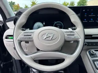 Hyundai PALISADE 2024 AWD Calligraphy 4dr SUV