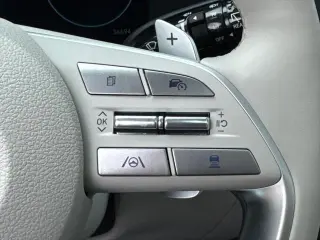 Hyundai PALISADE 2024 AWD Calligraphy 4dr SUV
