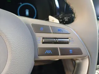 Hyundai PALISADE 2024 Calligraphy 4dr SUV