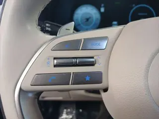 Hyundai PALISADE 2024 Calligraphy 4dr SUV