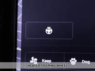 Tesla Model X 2020 AWD Long Range 4dr SUV